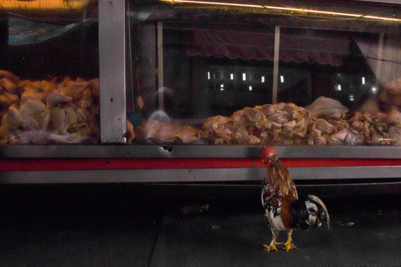 A contaminação de frango brasileiro pode provocar uma nova queda das exportações brasileiras para a China - (foto: Apu Gomes/AFP)