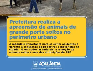 PREFEITURA REALIZA A APREENSÃO DE ANIMAIS DE GRANDE PORTE SOLTOS NO PERÍMETRO URBANO